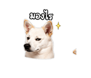 851780925