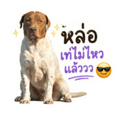 851781397