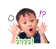 851781406