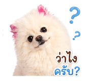 851783783