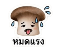 851784909