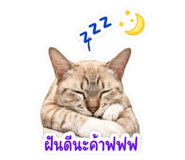 851785787