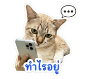 851785795