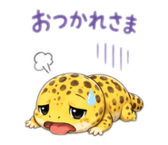 851788565