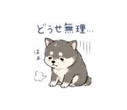851788994