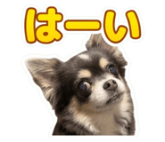851791309
