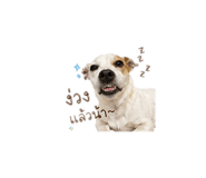 851791568