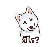 851792077