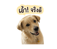 851795458