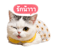 851799141