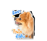 851804344