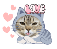 851805766