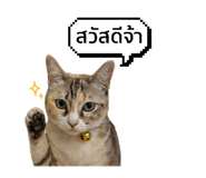 851808209