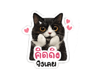 851813825