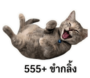 851814940