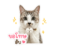851817024