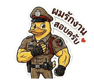 851818529