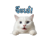 851818657
