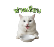 851818658