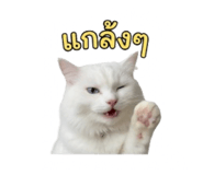 851818662