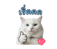851818663
