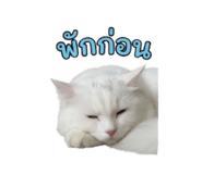 851818664