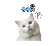 851818665