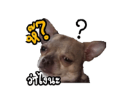 851819983