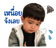 851820113