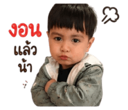 851820117