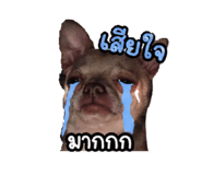 851820757