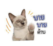 851824344