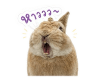 851828772