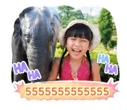 851828855