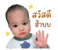 851830018