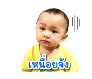 851834982