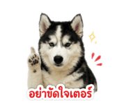 851836423