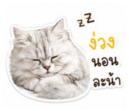 851837134