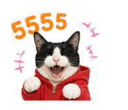 851837303