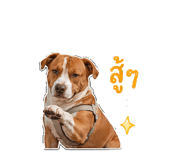 851837390