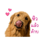 851837925