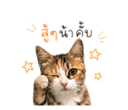 851839278