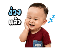 851847955