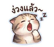 851848423
