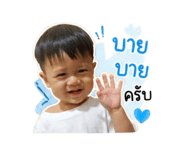 851850804