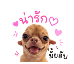 851851133