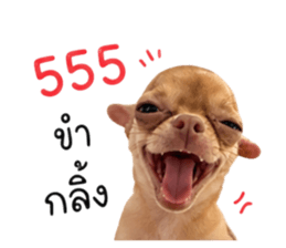851851138
