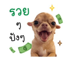 851851142