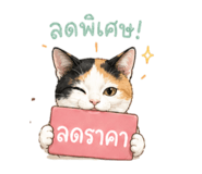 851851288