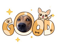 851851334